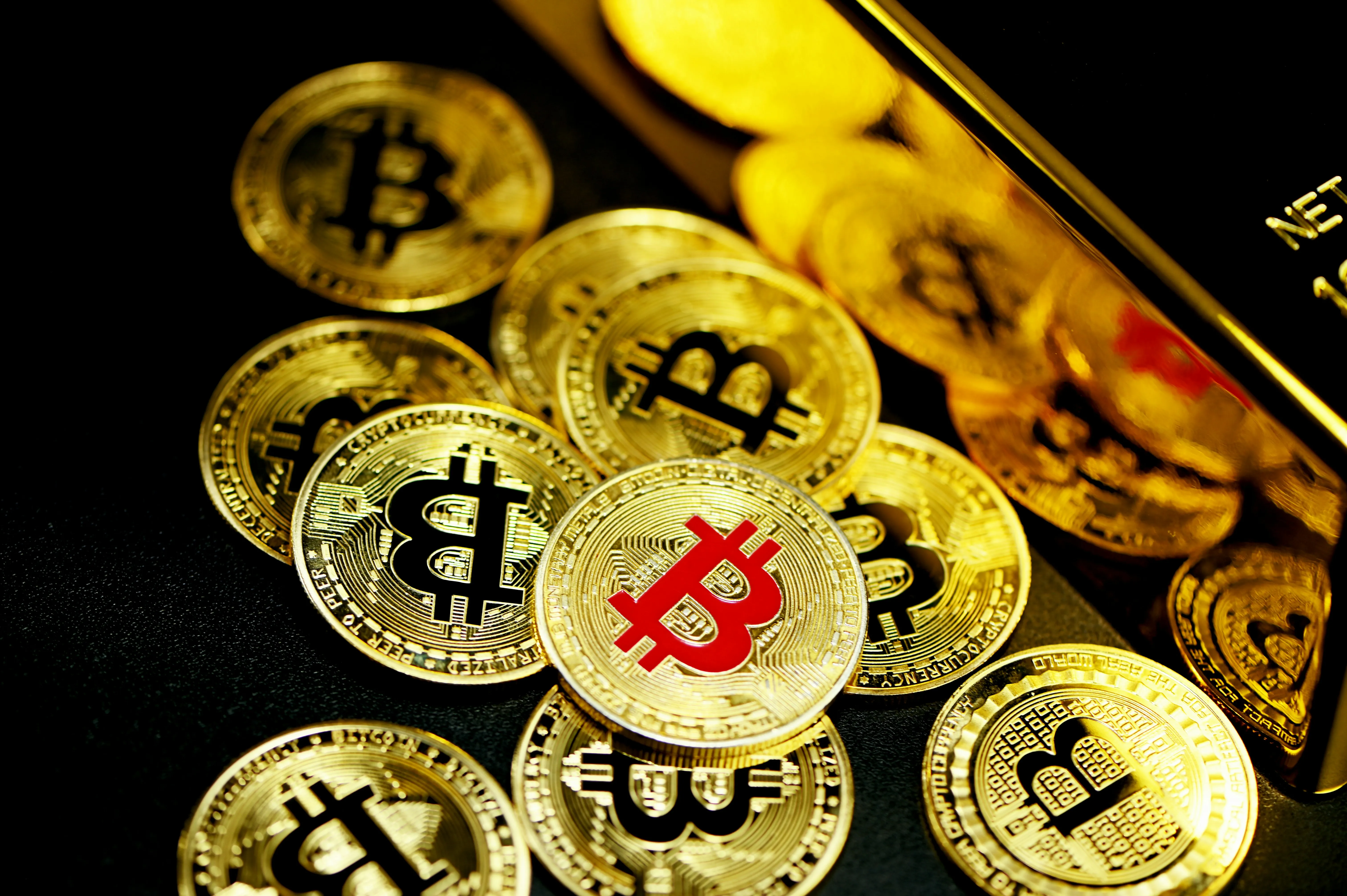 Giống gà và đặc điểm thể chất