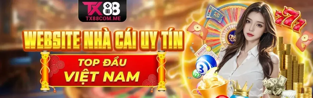 Hình ảnh giới thiệu lt88