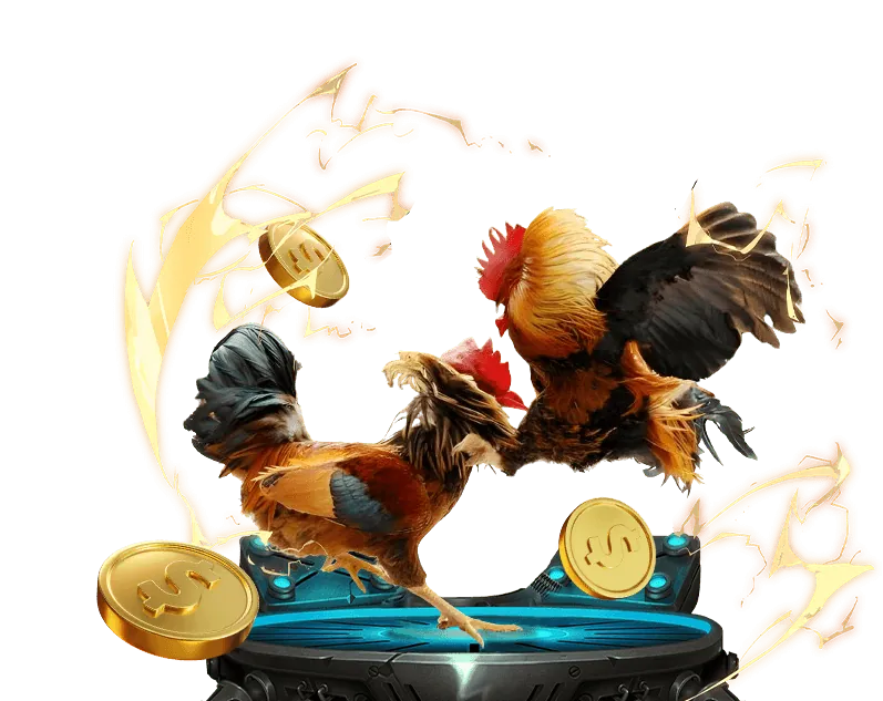 Các loại cookie 888 slot sử dụng để nâng cao trải nghiệm người dùng